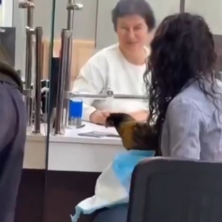 VIDEO Rusija uvela registraciju peradi. Građani počeli nositi kokoši u državne urede