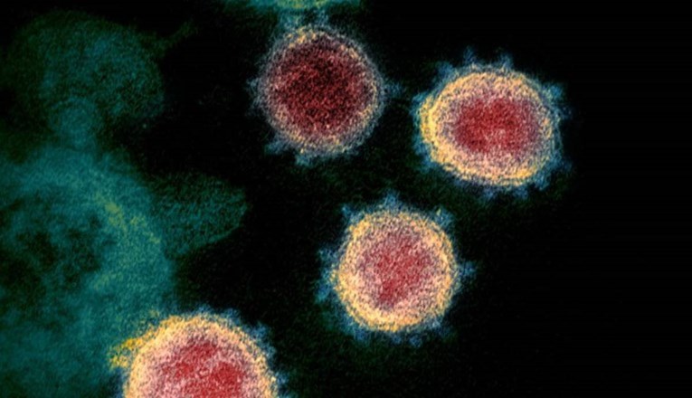 Danski institut: Rizik od hospitalizacije 64 posto viši kod britanskog soja virusa