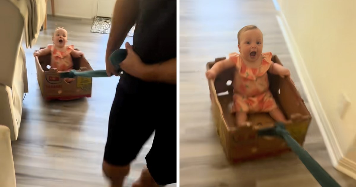 Tata vozio kćer u kartonskoj kutiji, ona nije skidala osmijeh s lica od uzbuđenja