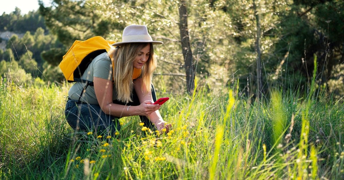 Od petka se održava natjecanje City Nature Challenge. Evo kako sudjelovati