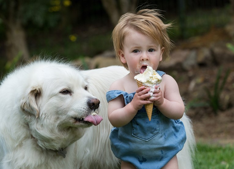 Iz Japana stiže inovacija - sladoled koji prkosi vrućini