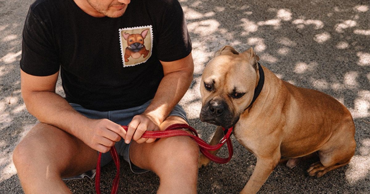 Ovo je Prka. Nekada žrtva borbi pasa, a danas 50 kila sreće traži novi dom