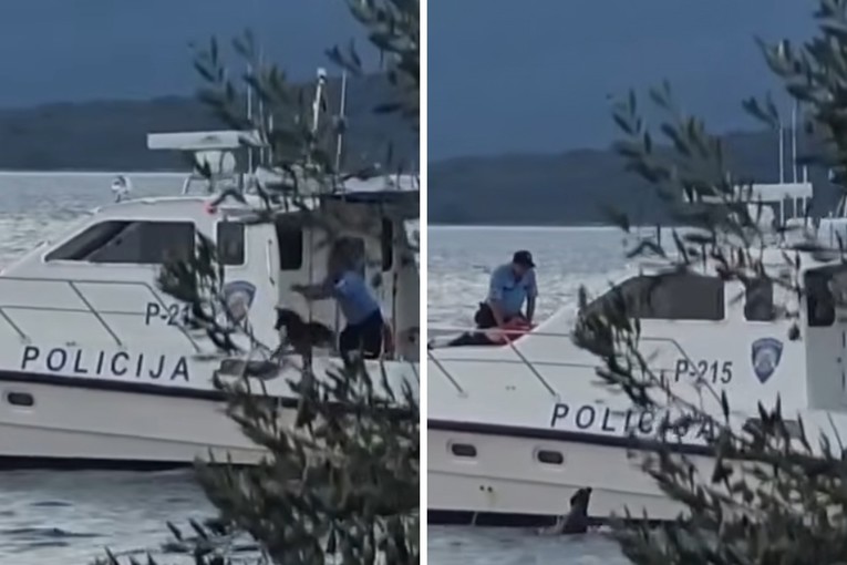 Uhitili traženog nasilnika na Pašmanu, opirao se policiji. Policajac bacio psa u more