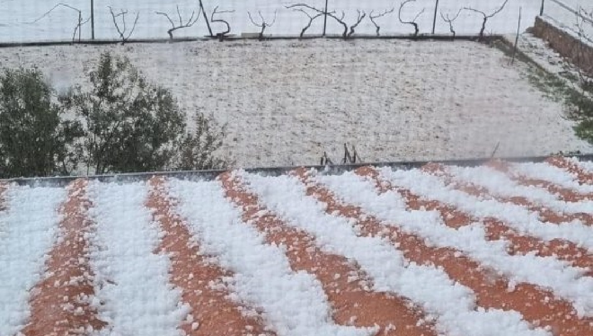 Jaka tuča pogodila dio Dalmacije, ima štete u poljoprivredi