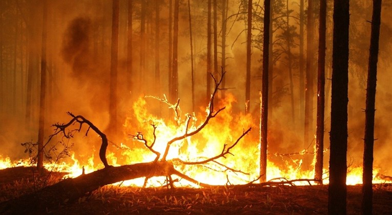 U Rusiji gori više od 250 šumskih požara, uništeno 3 milijuna hektara zemlje