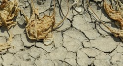 Istraživanje: Gotovo polovici Europe prijeti suša