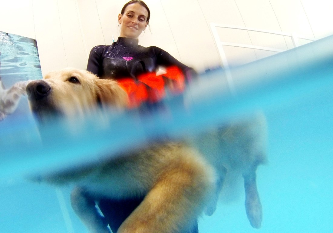 Psi u Milanu sada imaju svoj bazen (ne, nije šala)