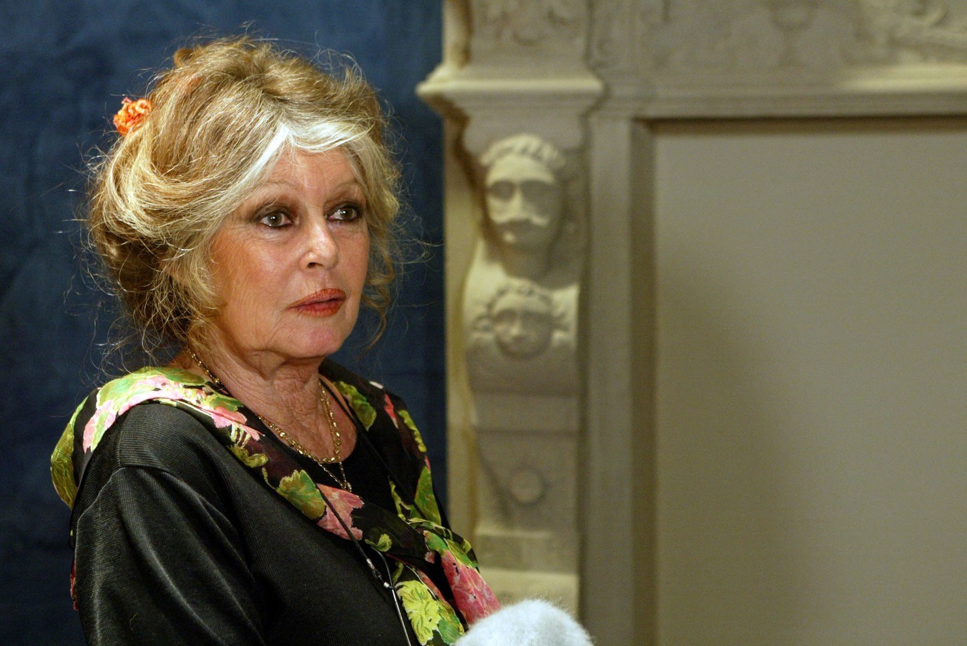Brigitte Bardot završila u bolnici, operirana je zbog ozbiljne bolesti