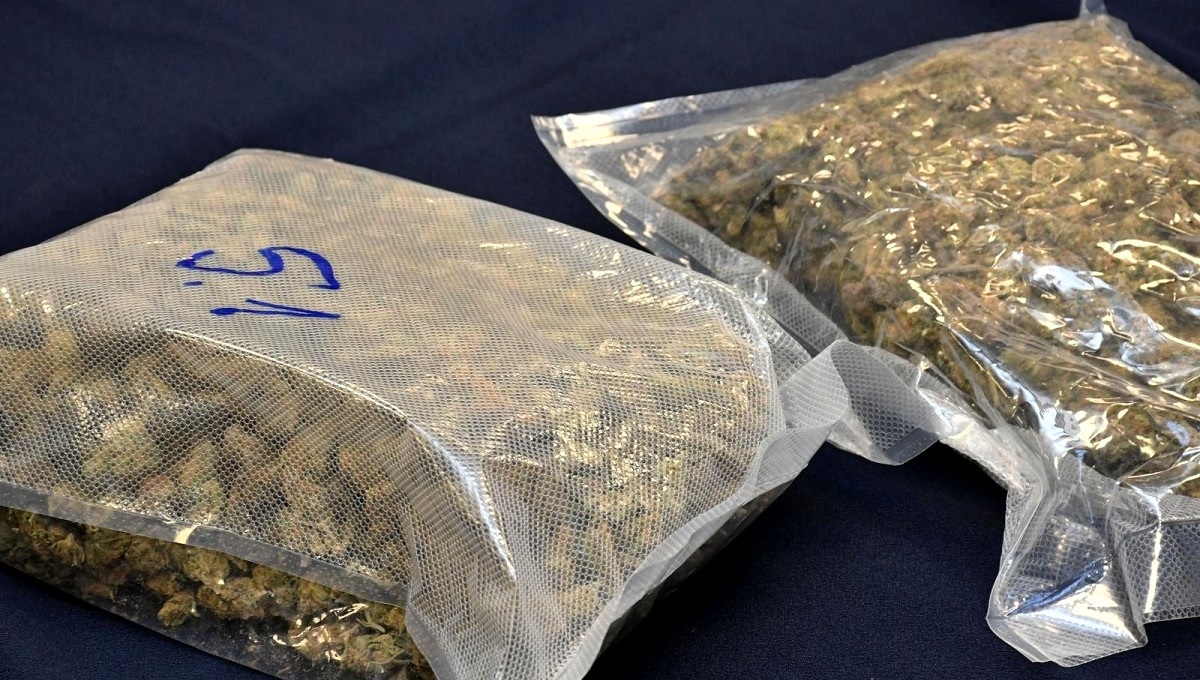 Tinejdžer kod Zadra u Jaguaru vozio 5 kila trave, našao ju je policijski pas