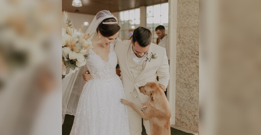 Pas lutalica upao na vjenčanje pa dobio svoj zauvijek dom
