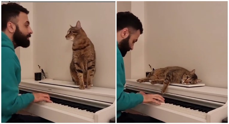 Dok svira, društvo mu prave njegove mačke, ljudi su oduševljeni: "Prave su sretnice"