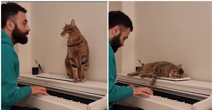 Dok svira, društvo mu prave njegove mačke, ljudi su oduševljeni: "Prave su sretnice"