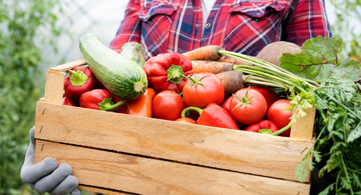 Ovo povrće jedete oduvijek, a niste znali da je originalno bilo smatrano otrovom