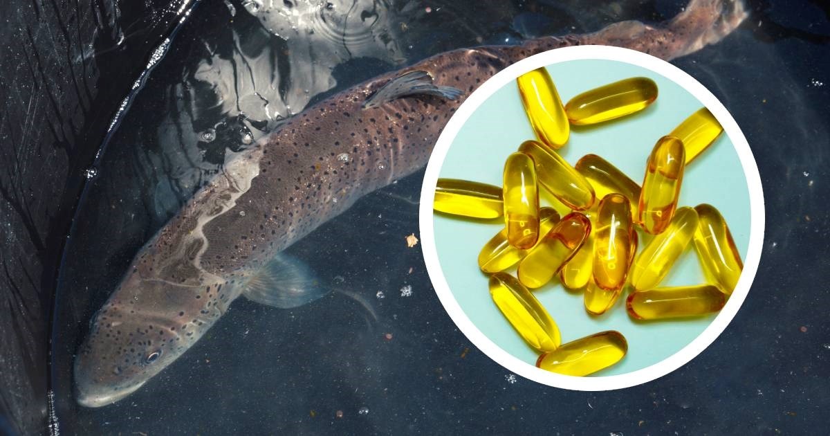 Ribar upozorio na zastrašujući utjecaj industrije omega-3 masnih kiselina na okoliš