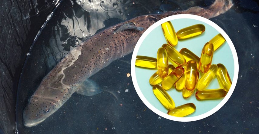 Ribar upozorio na zastrašujući utjecaj industrije omega-3 masnih kiselina na okoliš