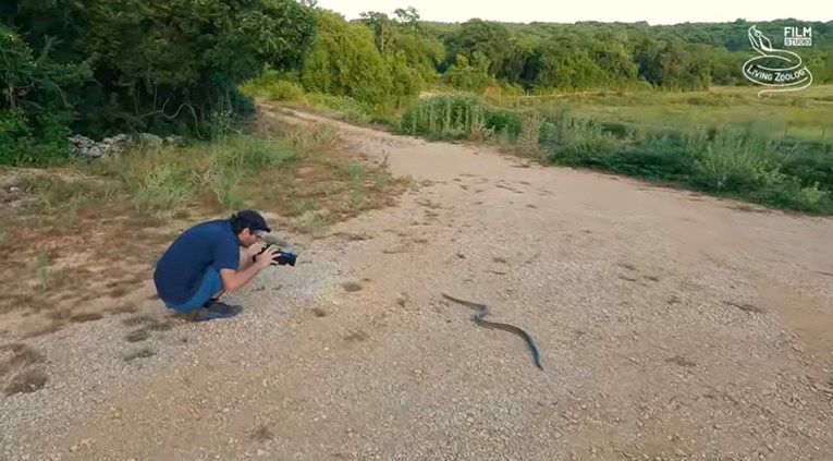 Na ljetovanju u Hrvatskoj snimili zmiju od dva metra: "Jedna od najvećih u Europi"
