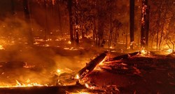 VIDEO Golem požar u Kaliforniji, evakuirane tisuće ljudi