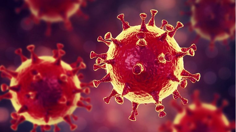 Koronavirus će liječiti plazmom onih koji su se oporavili
