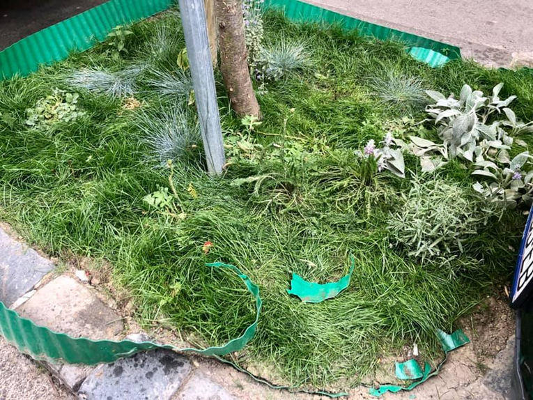 "Boce, urin, povraćotine...": Partijaneri uništili onaj mini-vrt u centru Zagreba