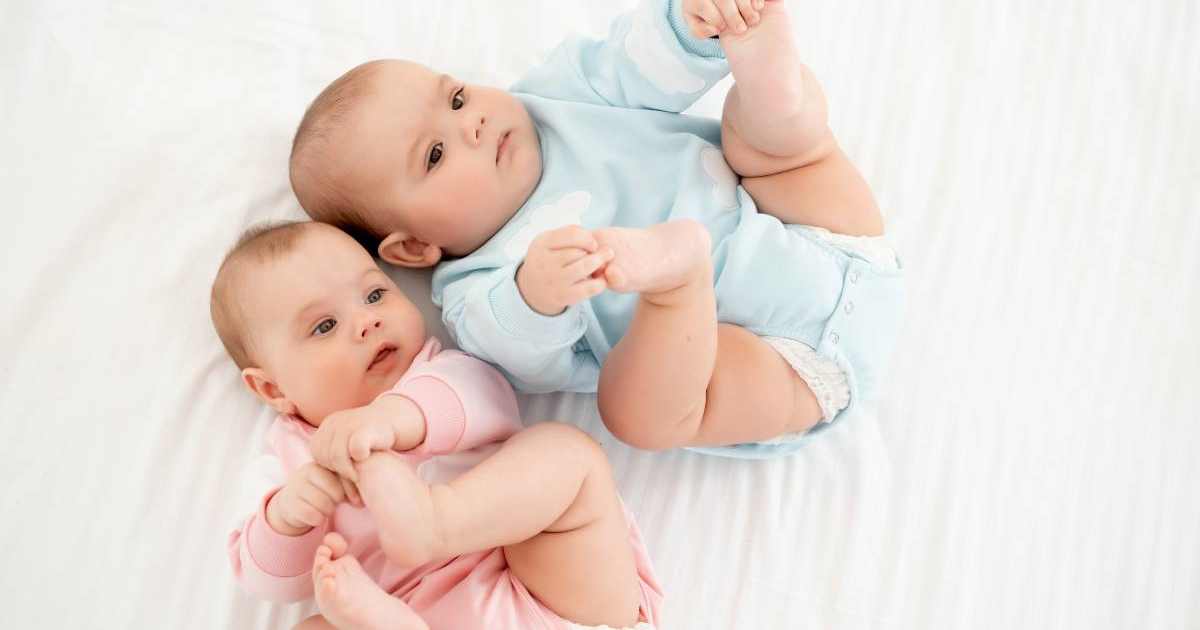 Curice se bolje koncentriraju već od rođenja? Nova studija ima zanimljive rezultate