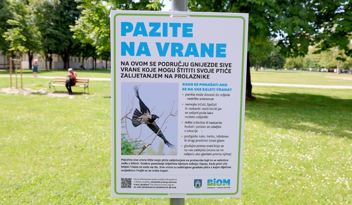 FOTO U zagrebačkim parkovima postavljena upozorenja zbog napada vrana