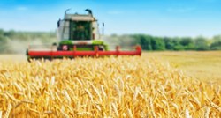 Dvojica muškaraca ukrala 35 tona pšenice s oranice kod Vukovara