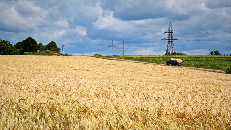 Britanija traži rješenje kako izvesti žito iz Ukrajine