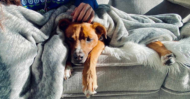 Čak 60% milenijalaca kaže da im je pas bolji prijatelj od bilo koga