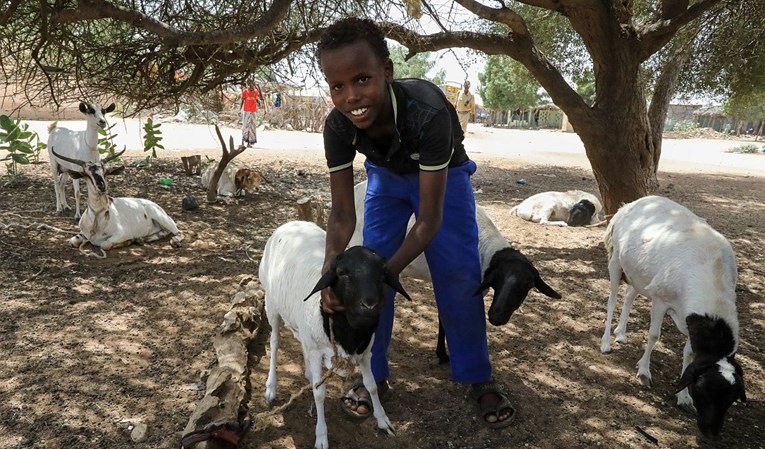 Predsjednik Tanzanije tvrdi da su testirane koza i papaja pozitivne na koronavirus