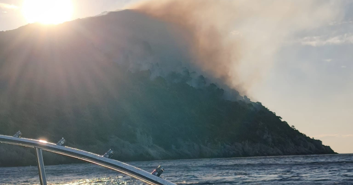 Zaustavljeno širenje požara na otoku kod Dubrovnika. Na terenu 48 vatrogasaca