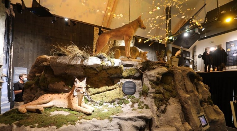 U Gorskom kotaru otvara se Centar za velike zvijeri posvećen vuku, medvjedu i risu