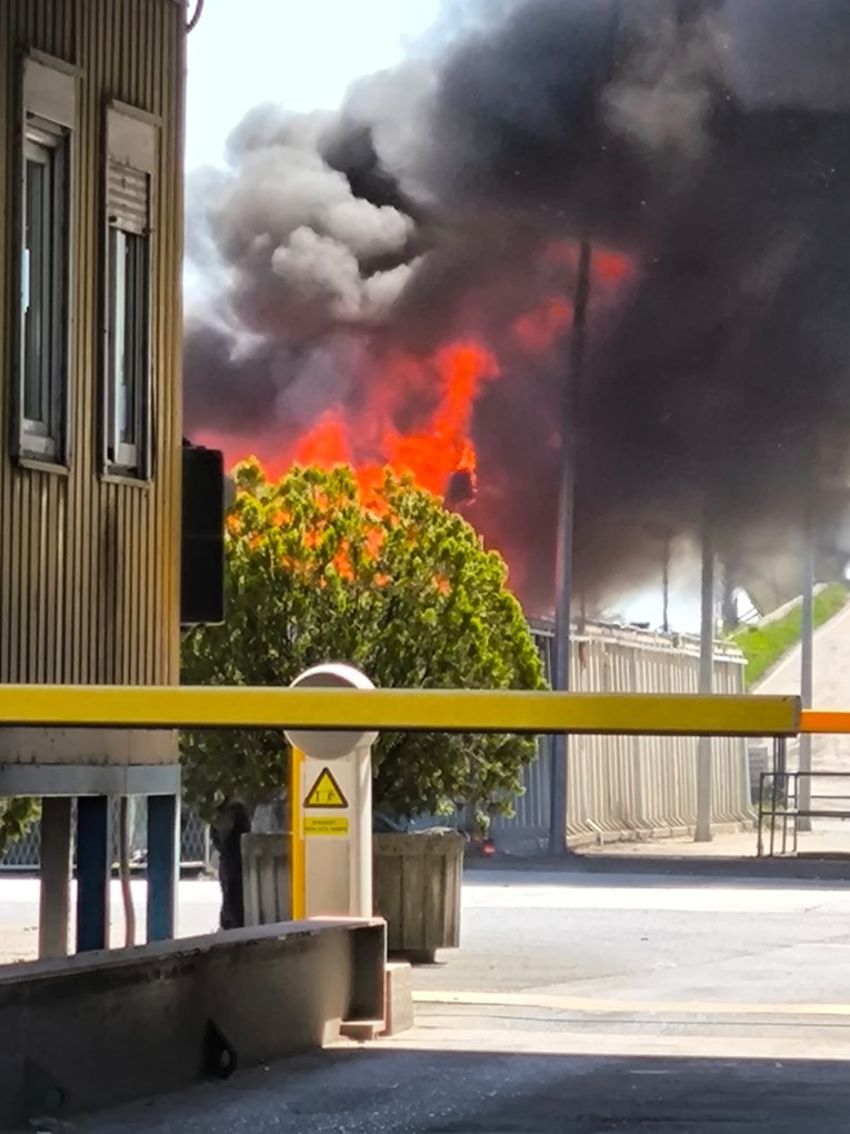 Doznali smo odakle je krenuo požar na Jakuševcu