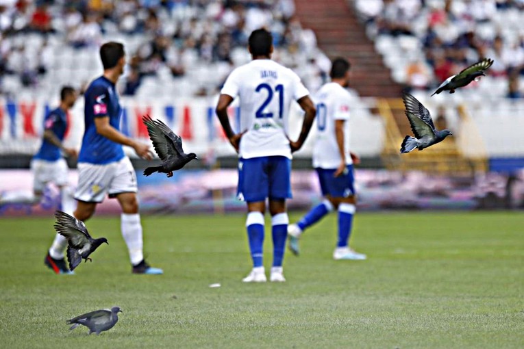 HAJDUK - VARAŽDIN 2:0 Splićani ostaju prva momčad HNL-a