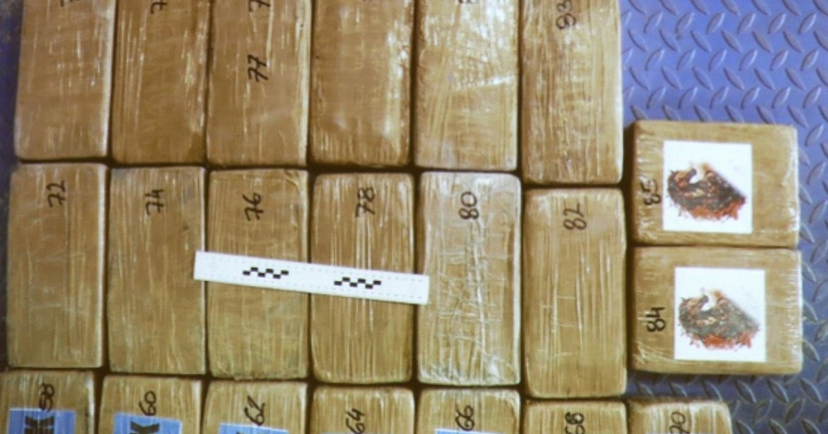 Velika zapljena droge na Bajakovu. Policija pronašla 13.5 kg kokaina