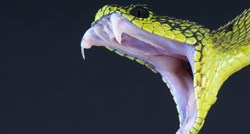Istraživanje: Ljudi bi mogli proizvoditi otrov kao zmije