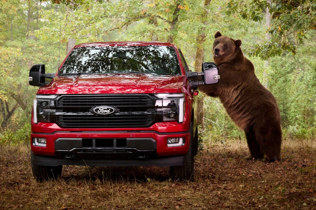 Ford angažirao medvjeda od 360 kg da provali u pickup, pogledajte što se dogodilo