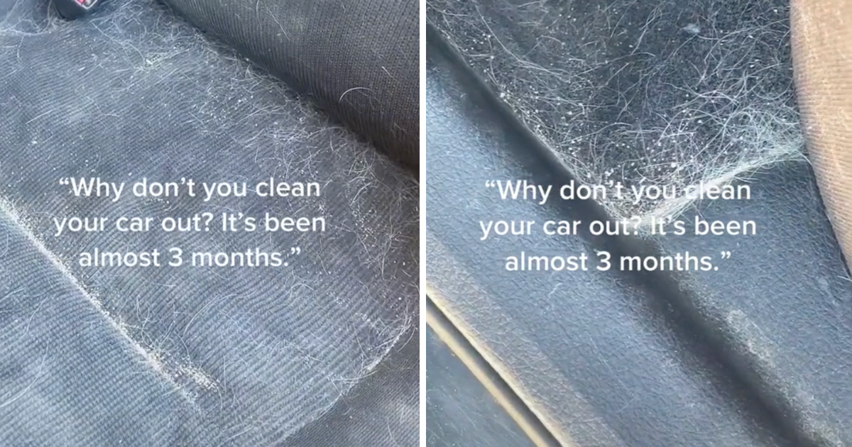 Žena tri mjeseca nije očistila automobil od psećih dlaka, a razlog je srceparajući