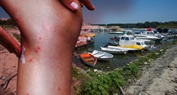 Od opasne bolesti koju prenose komarci oboljela i curica iz Vukovara
