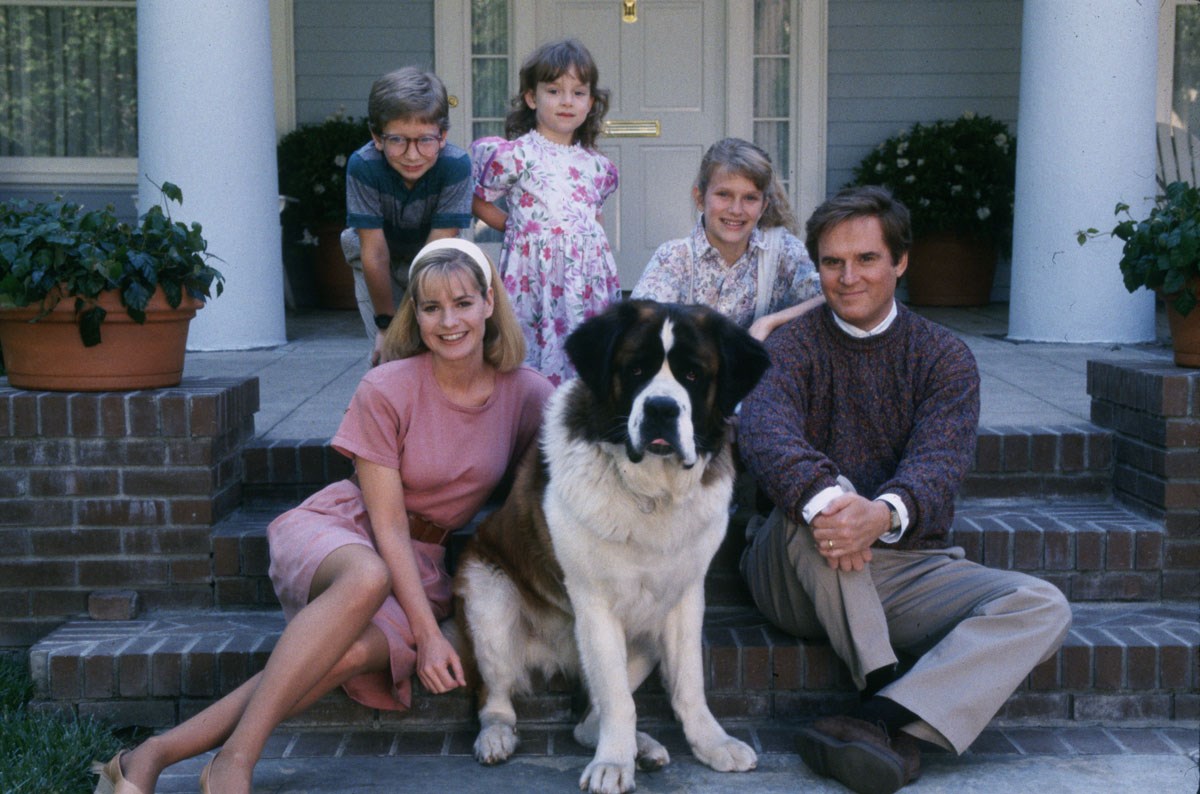 Pet najslađih i najljepših filmova o životinjama koje morate pogledati