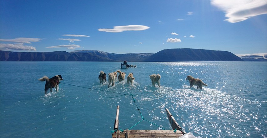 Uznemirujuća fotografija zatopljenja: Psi vuku sanjke kroz otopljen Grenland
