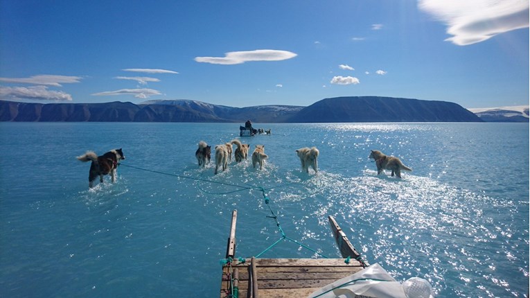 Uznemirujuća fotografija zatopljenja: Psi vuku sanjke kroz otopljen Grenland