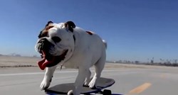 Adrenalinski ovisnik: Pas dao domaći zadatak ljubiteljima ekstremnih sportova