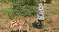 Potresna priča o napuštenom mladunčetu zebre dotaknula je srca ljudi širom planeta
