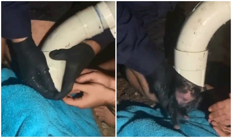 Vodoinstalater iz kanalizacijske cijevi izvukao tek rođeno štene
