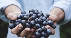 Ovo su negativni efekti koje prekomjerno konzumiranje grožđa može ostaviti na zdravlje