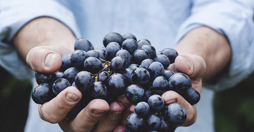 Ovo su negativni efekti koje prekomjerno konzumiranje grožđa može ostaviti na zdravlje