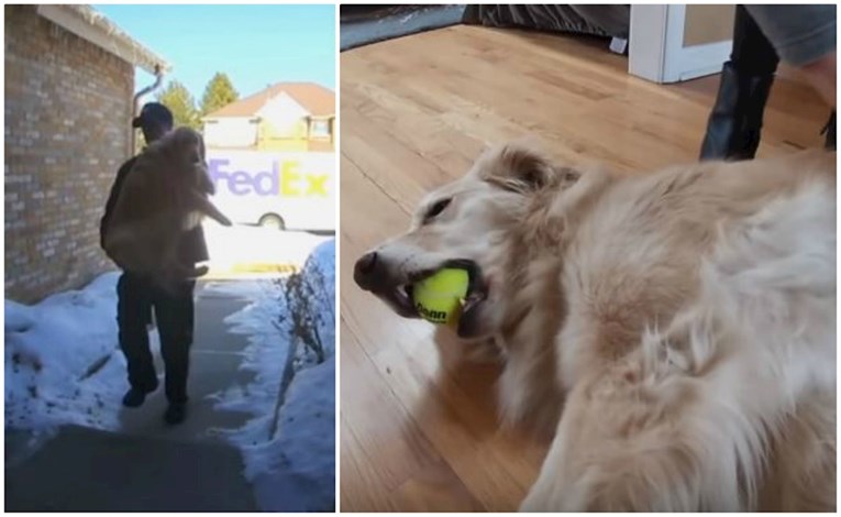 Kamere snimile najslađi prizor, dostavljač vratio izgubljenog psa obitelji