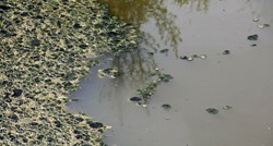 Onečišćenje rijeke Krka i Orašnica, izdano upozorenje. Izlila se otpadna voda
