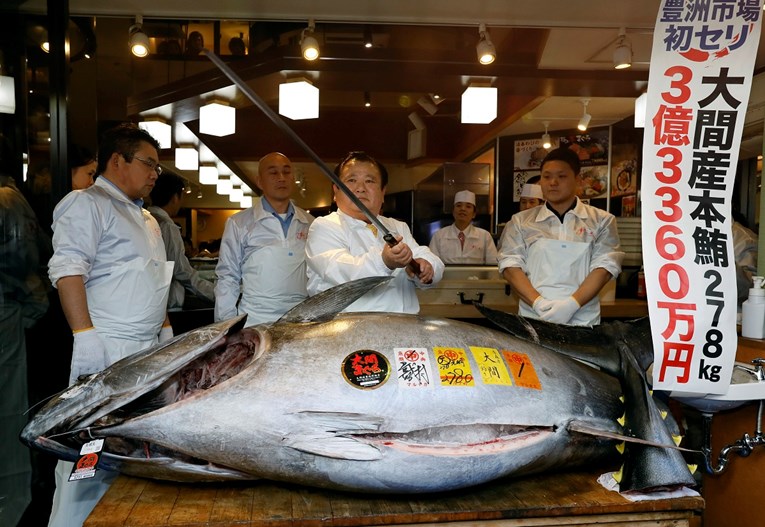 Tuna prodana za rekordnih 20 milijuna kuna
