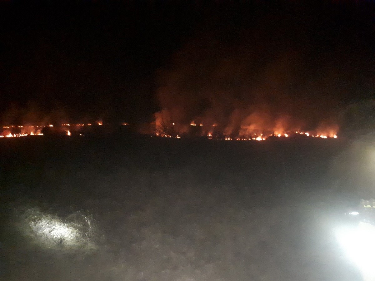 FOTO Izbio veliki požar kod Požege. Brzo je ugašen
